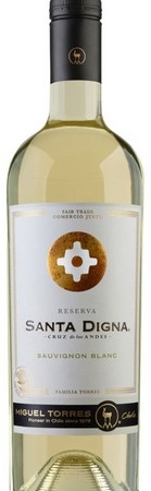 Bild von TORRES SANTA DIGNA SAUVIGNON BLANC 0.75 L
