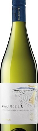 Bild von TORRES MAGNETIC BLANCO DO CATALUNYA 0.75 LITER
